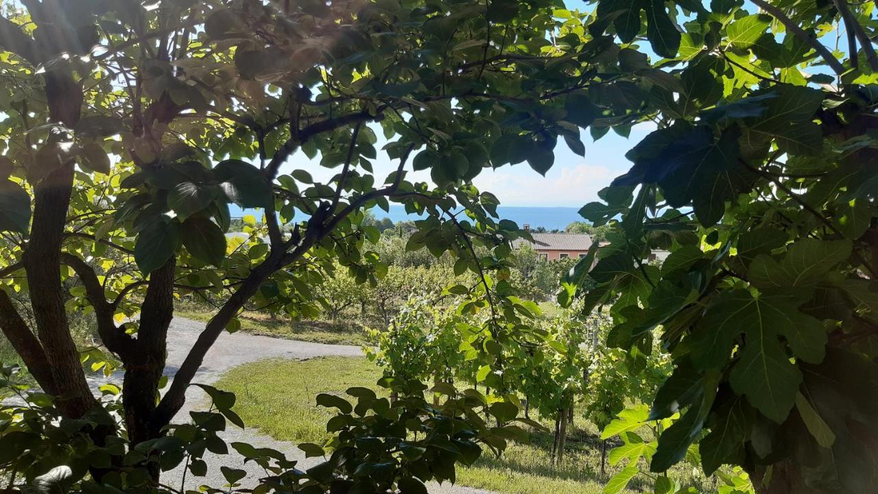 Apartma Tul Izola Dış mekan fotoğraf