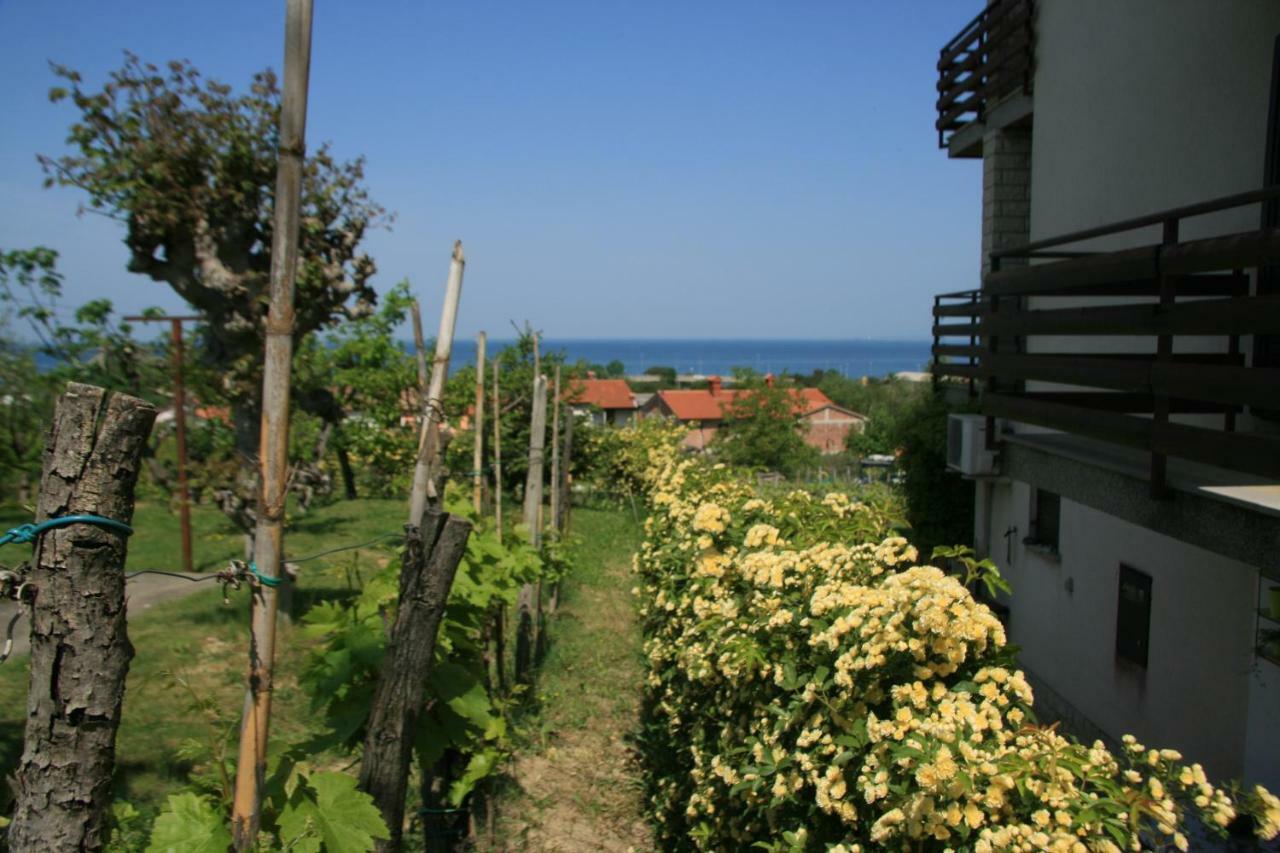 Apartma Tul Izola Dış mekan fotoğraf