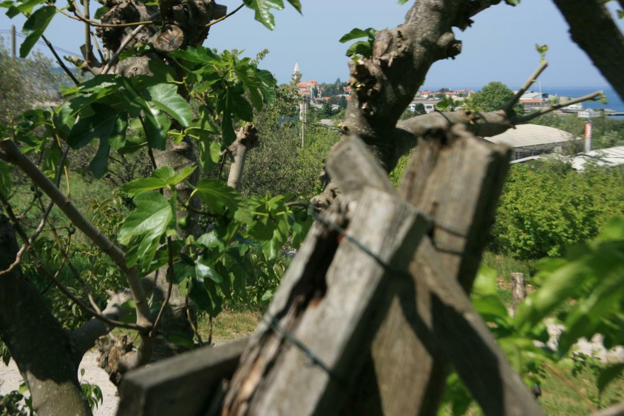Apartma Tul Izola Dış mekan fotoğraf
